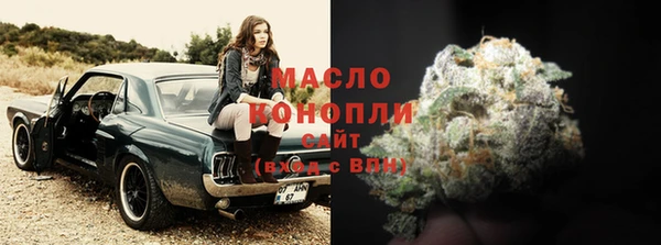 прущий лед Богданович