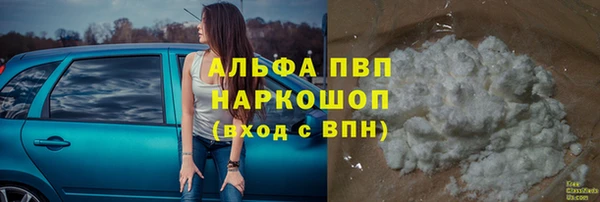 прущий лед Богданович