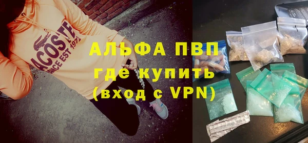 прущий лед Богданович