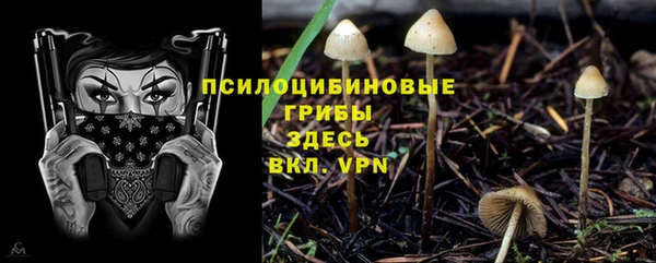 таблы Богородск