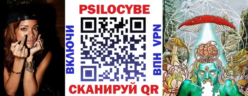 Галлюциногенные грибы Psilocybe  Киржач 